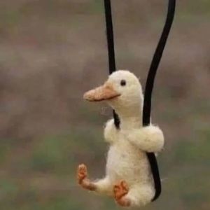 Meet your Posher, April